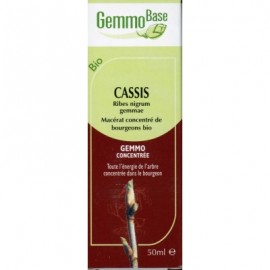 GEMMOBASE CASSIS BIO 50ML Tonique puissant