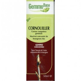 GEMMOBASE CORNOUILLIER BIO 50ML draineur-inflammation