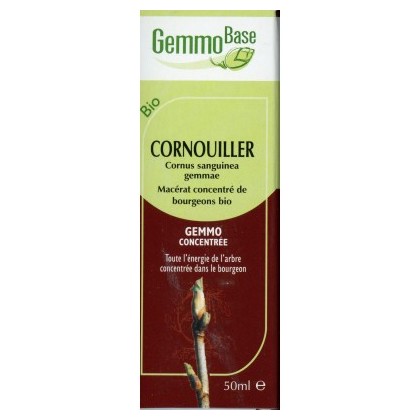 GEMMOBASE CORNOUILLIER BIO 50ML draineur-inflammation