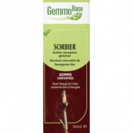 GEMMOBASE SORBIER BIO 50ML Circulation-draineur