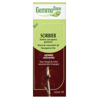 GEMMOBASE SORBIER BIO 50ML Circulation-draineur