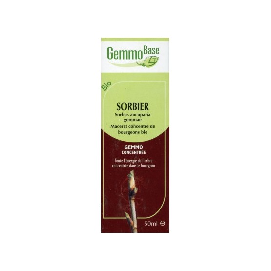 GEMMOBASE SORBIER BIO 50ML Circulation-draineur