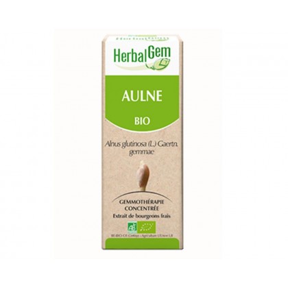 GEMMOBASE AULNE BIO 50ML Calme et apaise GEMMOBASE AULNE BIO 50ML Calme et apaise