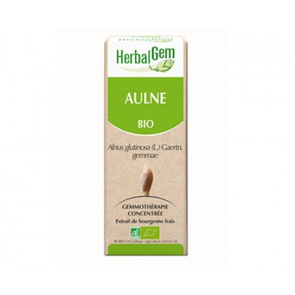 GEMMOBASE AULNE BIO 50ML Calme et apaise